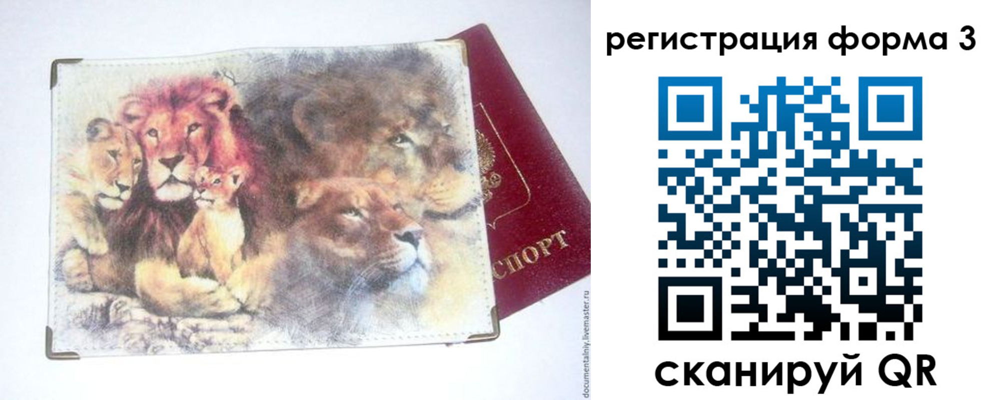 прописка в квартире в Зиме